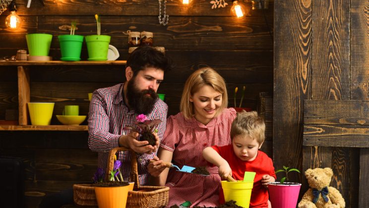 Luminează-ți casa cu magia sărbătorilor: Idei DIY pentru decorarea casei