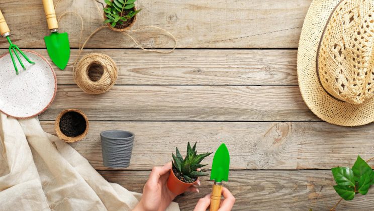 Cum să îți construiești o rutină de îngrijire personală eco-friendly