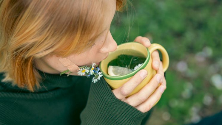 Cum să susții glandele suprarenale cu plante adaptogene