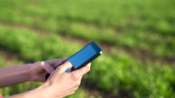 Smart irrigation DIY: senzori ușor de montat pentru udare precisă